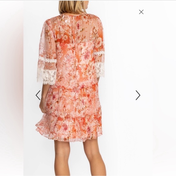 NWT Johnny was yours truly Silk floral mini dress. XL - Picture 3 of 4